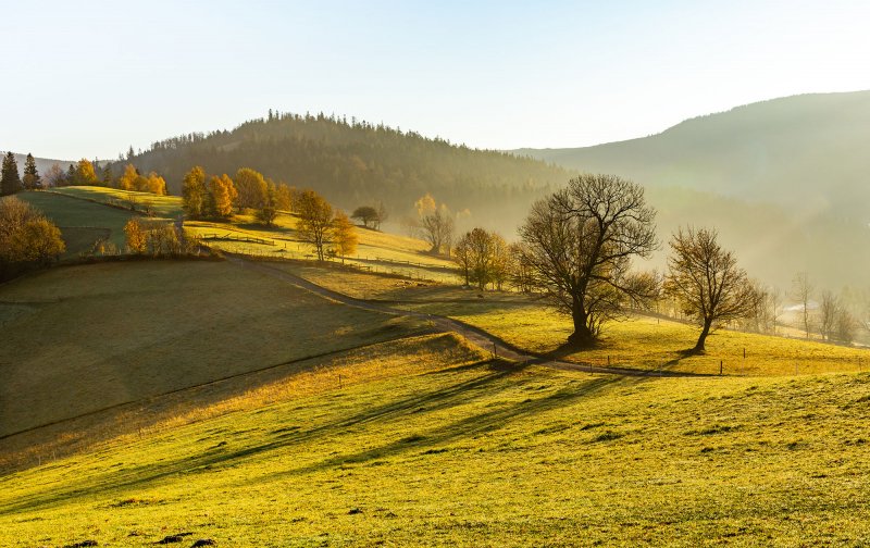 „Łakome” Małgorzaty Lebdy. Pieśń o miłości