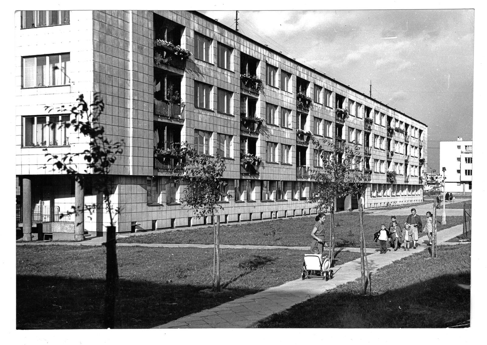 Osiedle WSM na Kole w Warszawie, II kolonia. Budynek II Syrkus Helena, Syrkus Szymon, rok 1950 (Fot. Ryszard Ciszek/Muzeum Architektury we Wrocławiu)