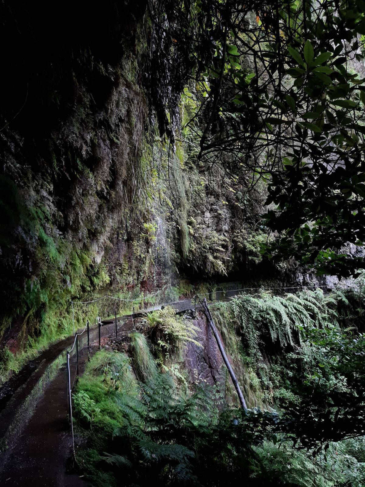 Levada do Rei, Madera, fot. Filipka Rutkowska