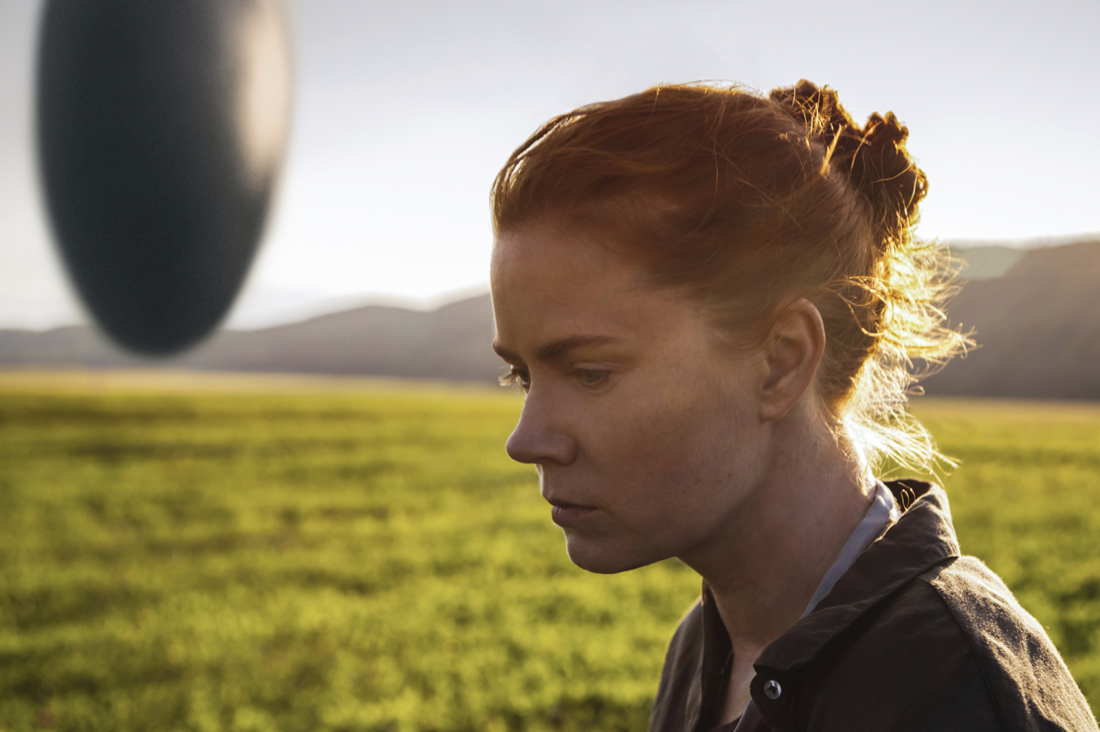 Amy Adams w filmie „Nowy początek”, ekranizacji książki Teda Chianga, w refleksyjnej scenie w polu.