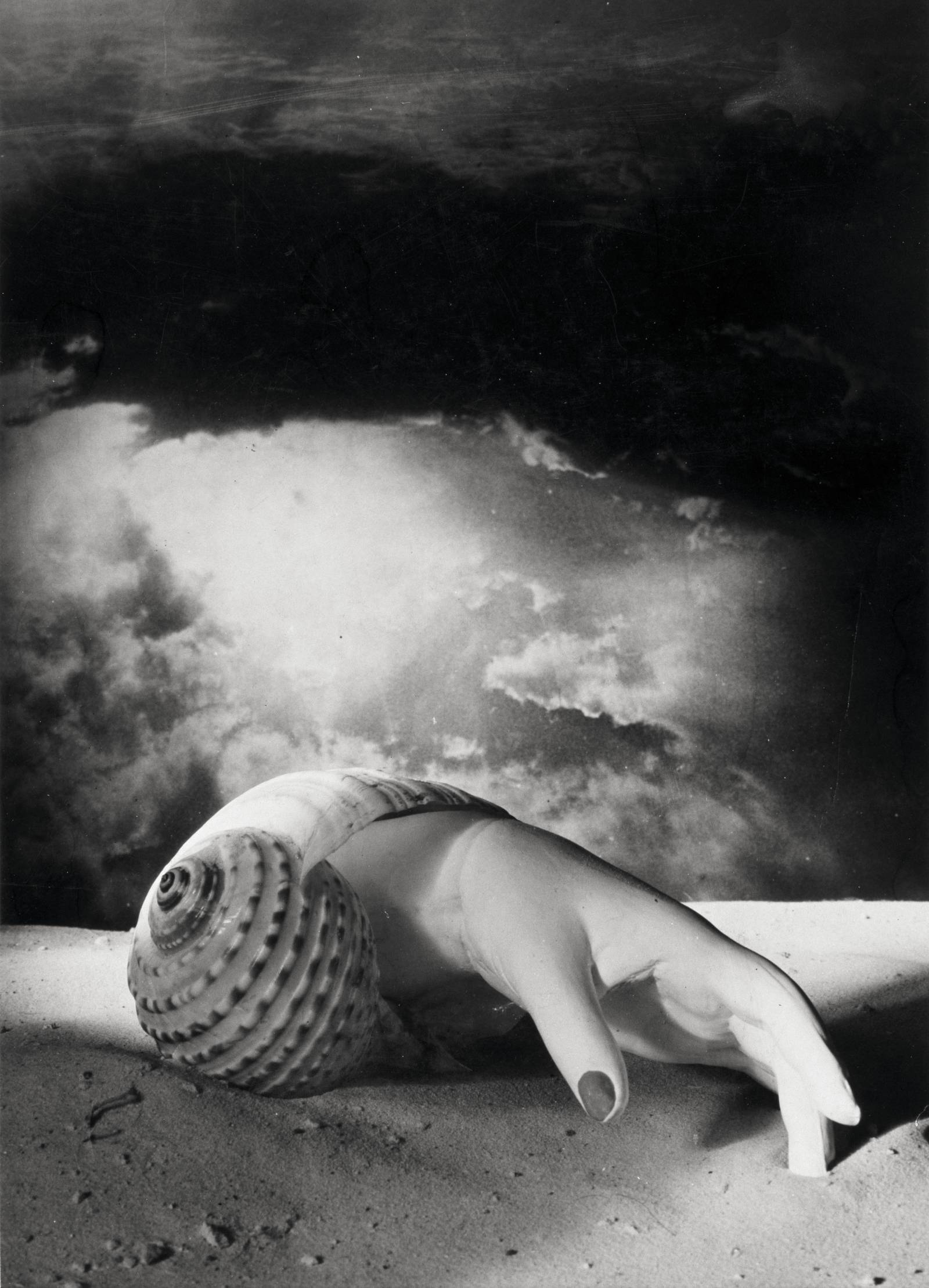 Dora Maar, Bez tytułu [Dłoń-muszla], 1934 (© Centre Pompidou, MNAM-CCI/Jacques Faujour/Dist. RMN-GP © Adagp, Paris, 2024)