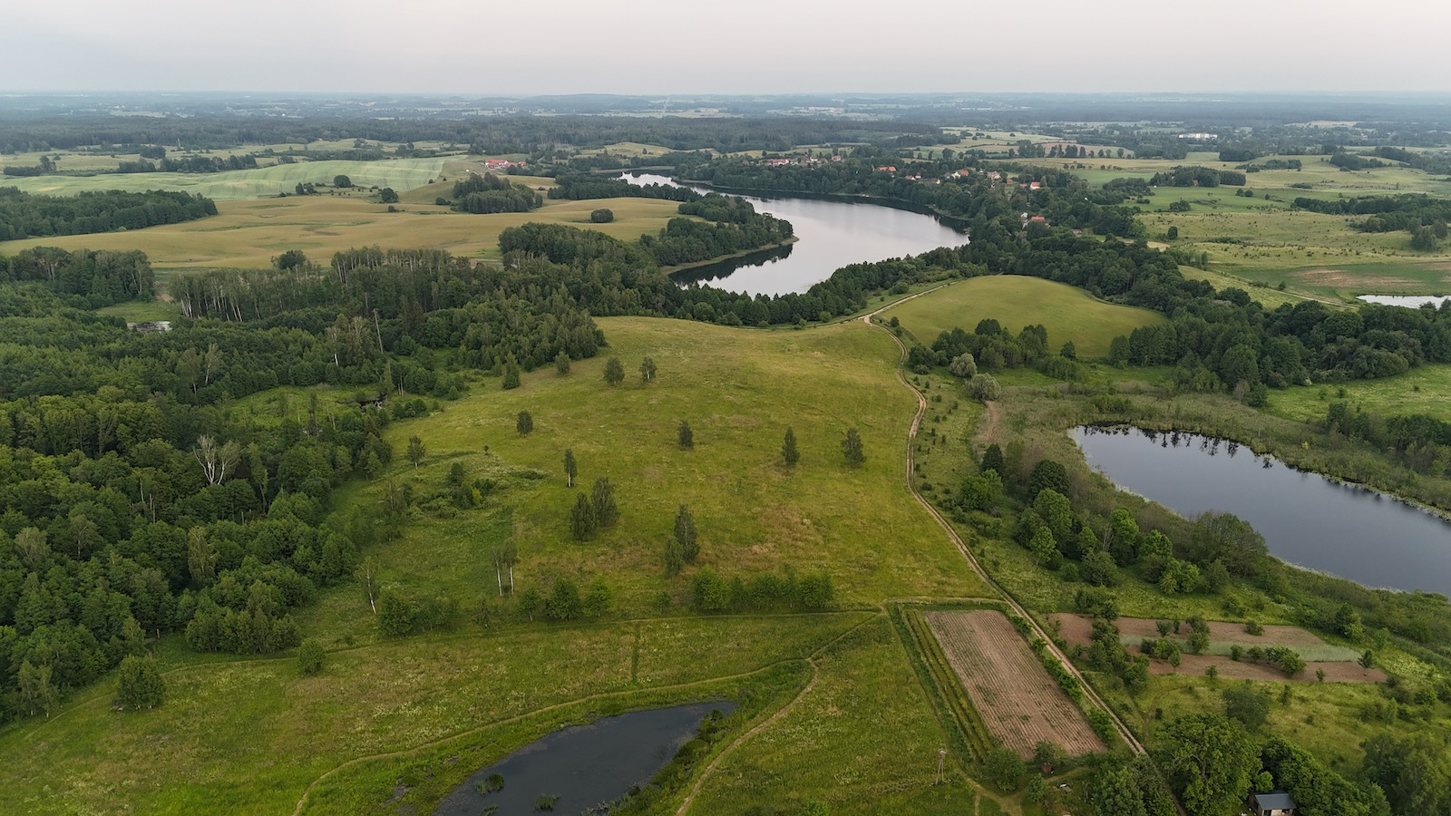 Fot. Materiały prasowe