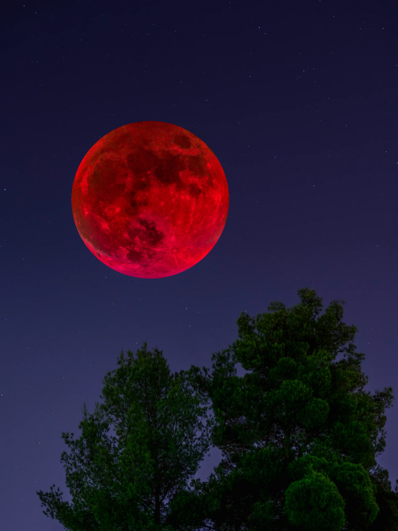 Fot. Marko Grzunov / 500px / GettyImages