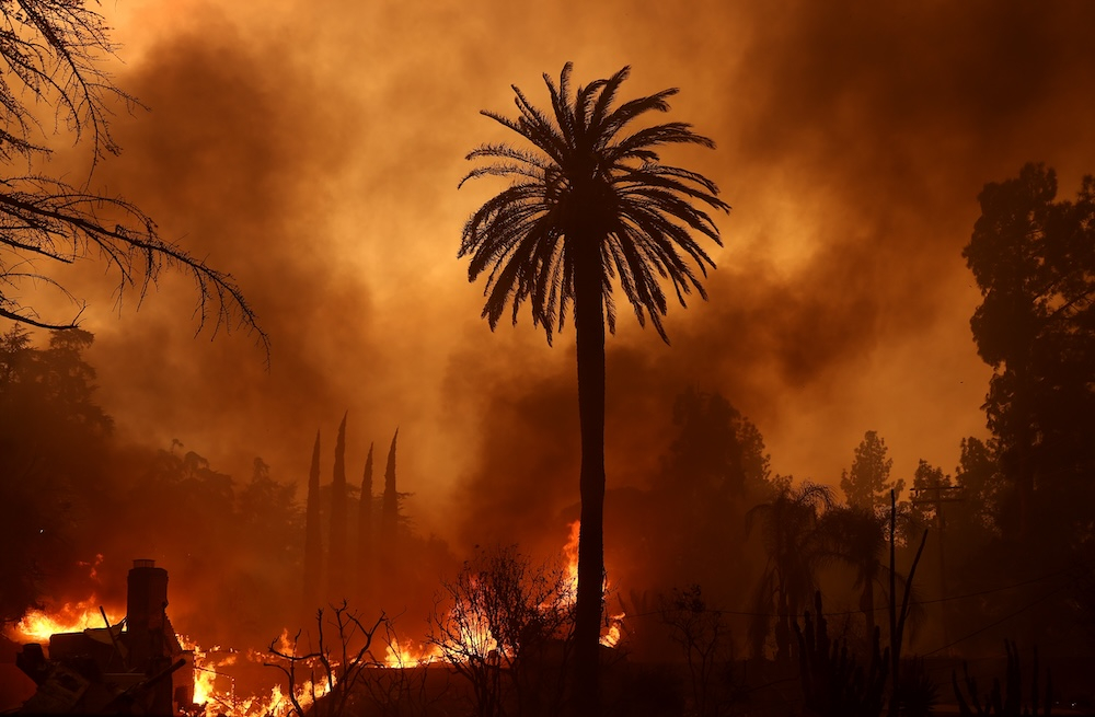 (Fot. Justin Sullivan/Getty Images)